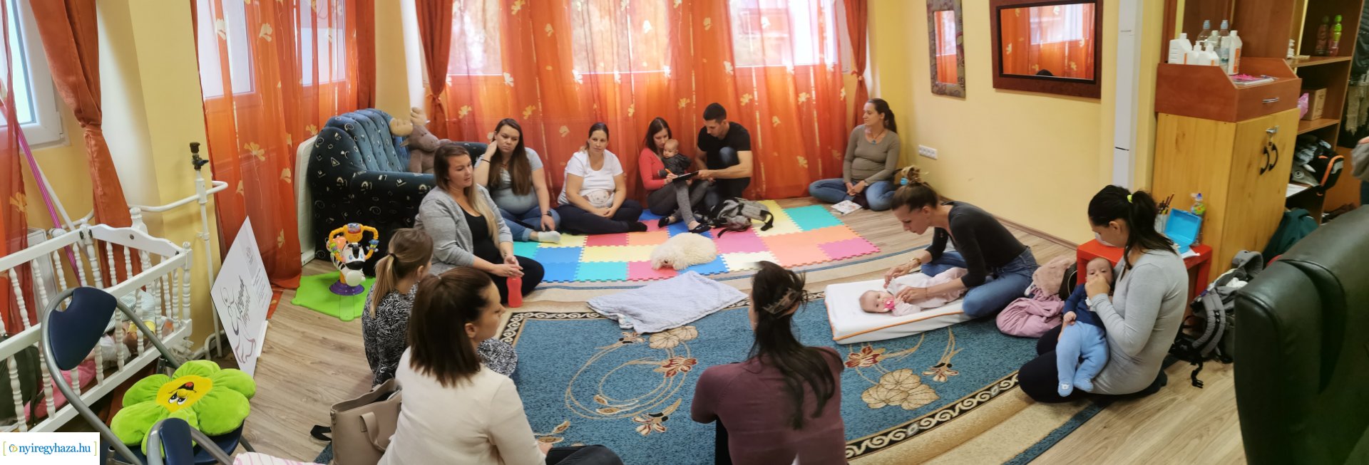 Első Nyírségi Támogatói Szolgálat