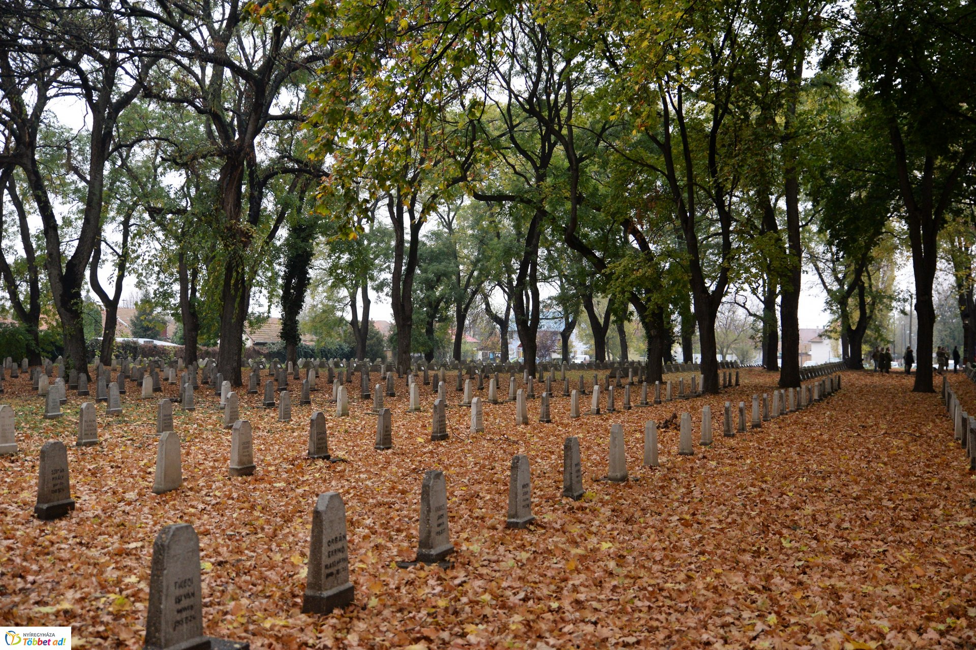 Emlékezés a Hősök temetőjében