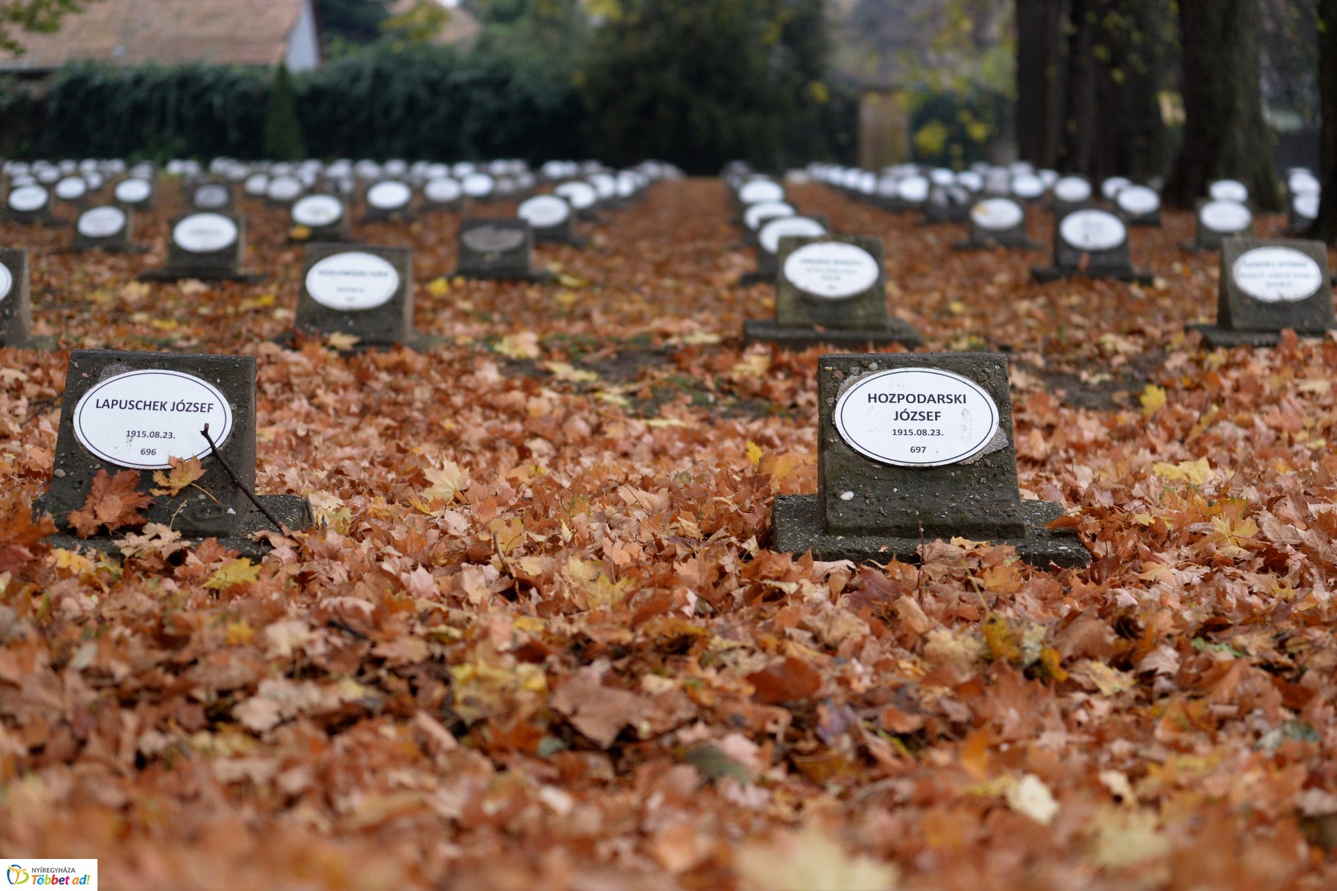 Emlékezés a Hősök temetőjében