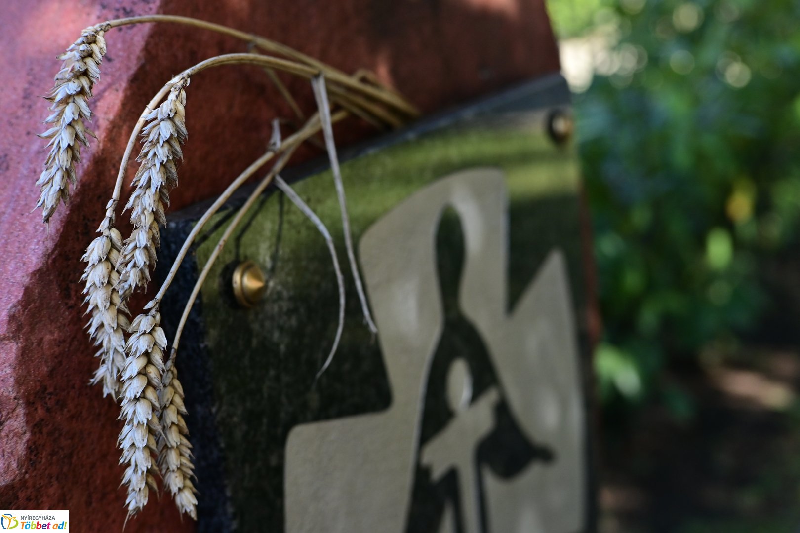 Emlékező koszorúzás a Holodomor áldozataira 2026 szeptember