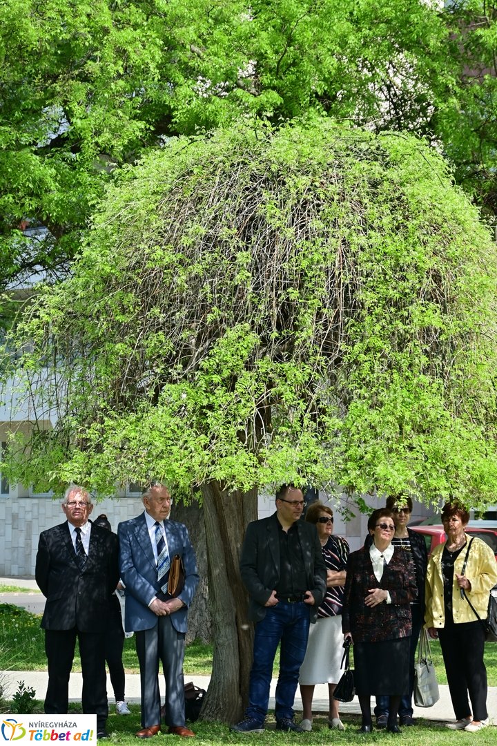 Emlékező koszorúzás Bessenyei György szobránál - 2025