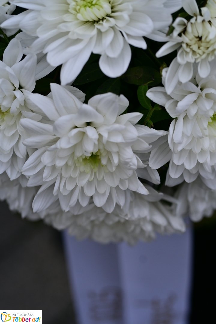 Emlékező koszorúzások Váci Mihályra 2025 decemberében