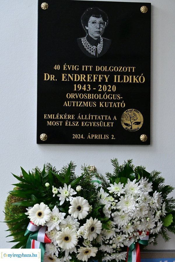 Emléktábla avató a kórházban - Dr Endreffy Ildikó