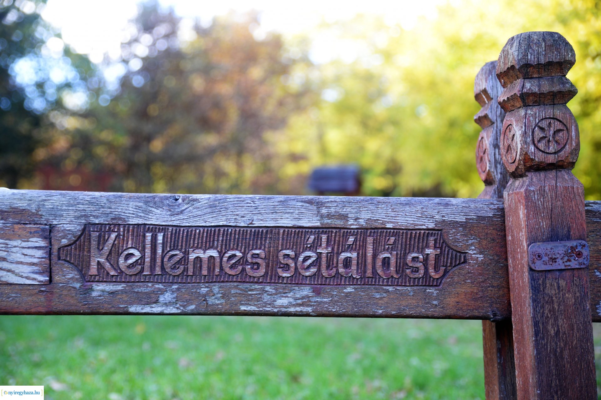 Erdei séta az őszi napsütésben