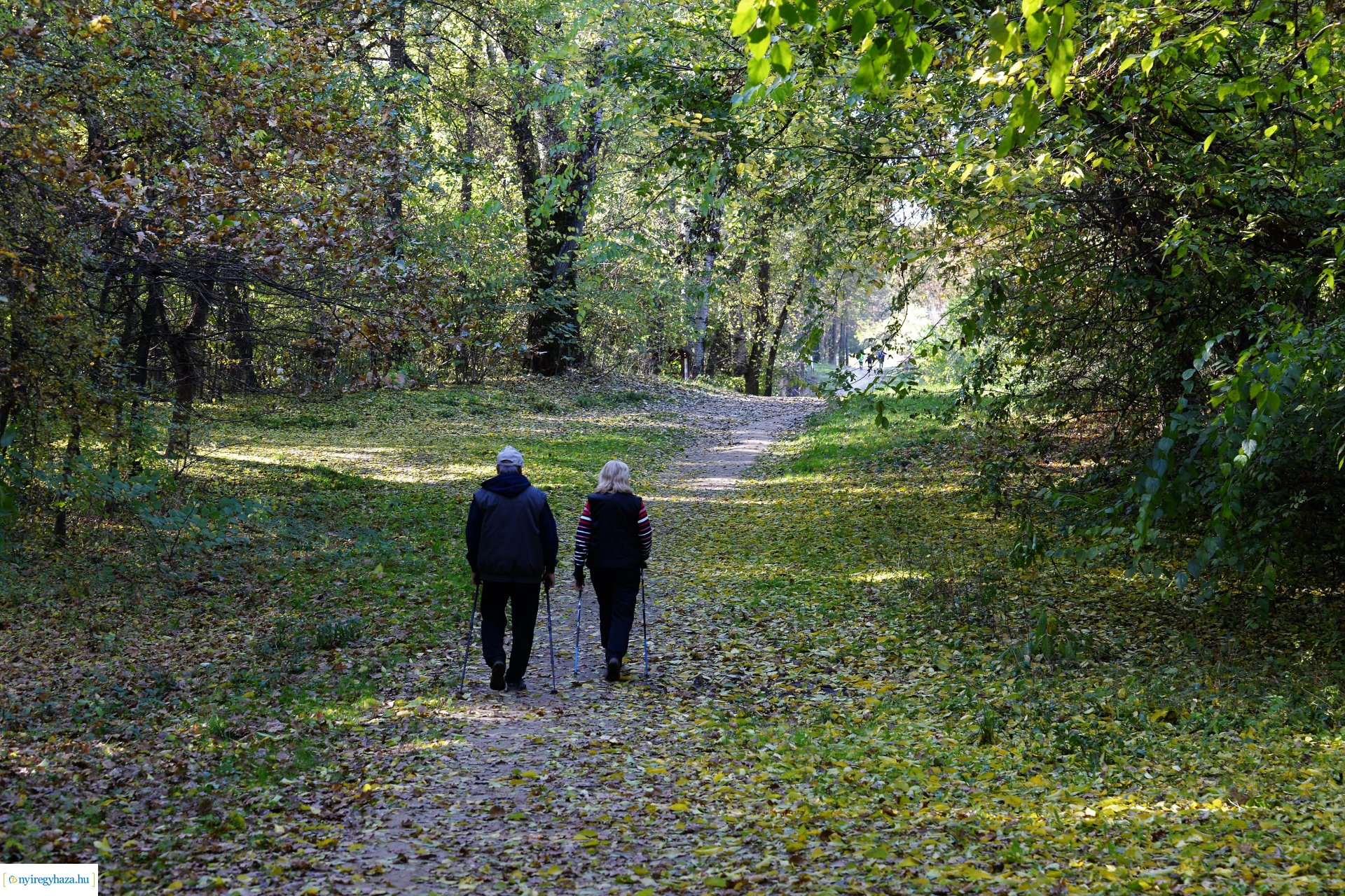 Erdei séta az őszi napsütésben