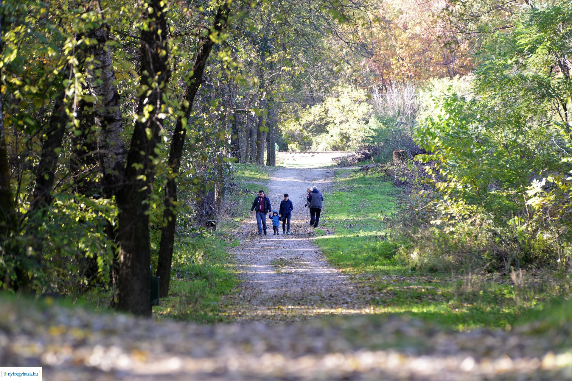 Erdei séta az őszi napsütésben
