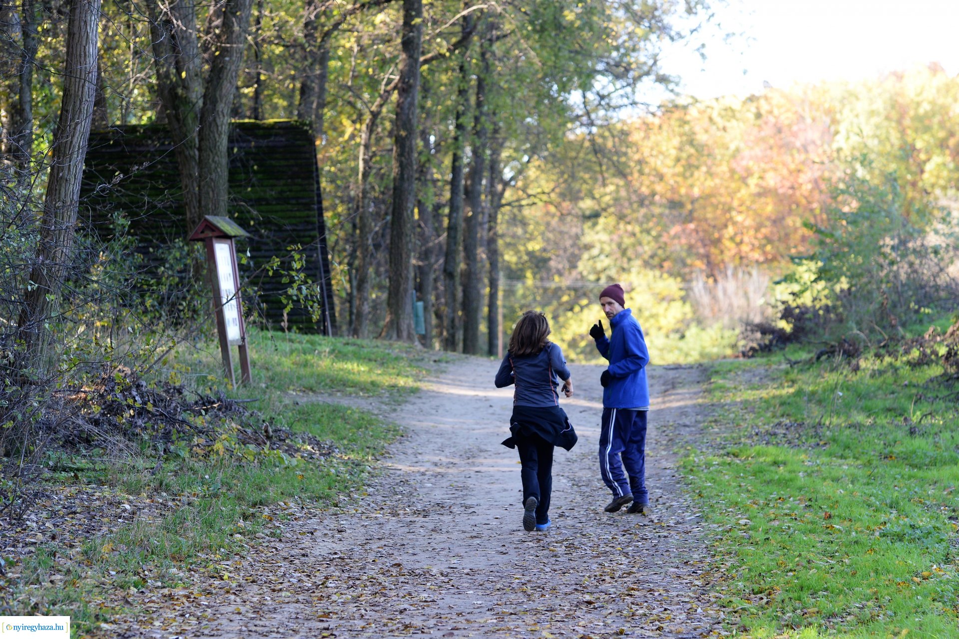 Erdei séta az őszi napsütésben