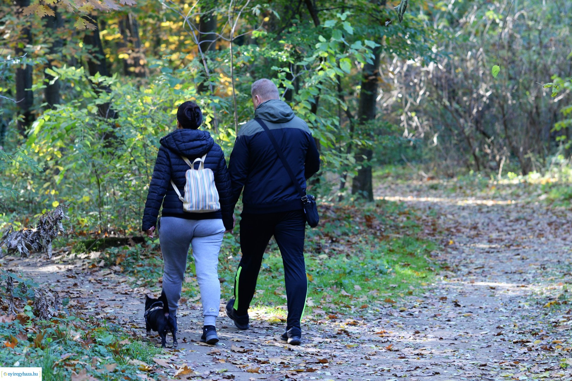 Erdei séta az őszi napsütésben