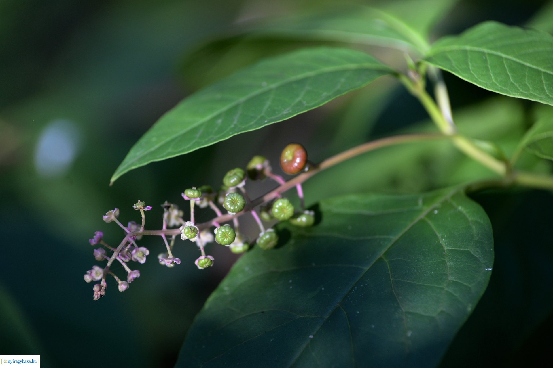 Erdei séta az őszi napsütésben