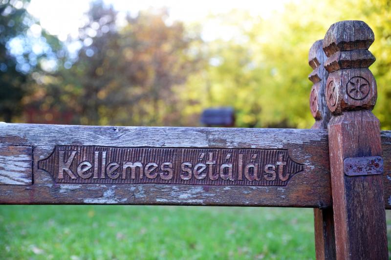 Erdei séta az őszi napsütésben