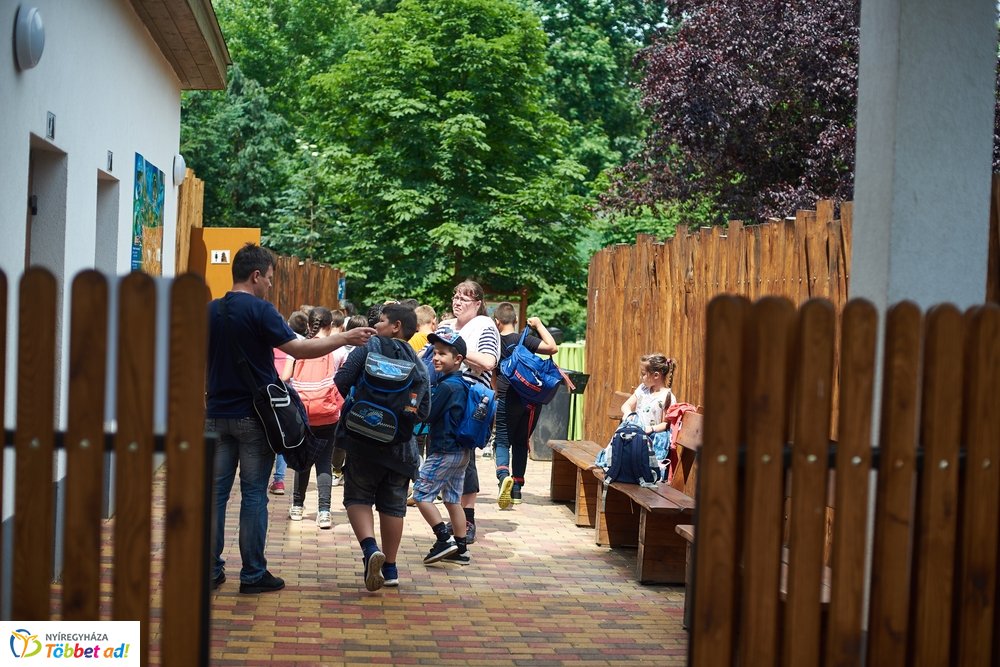 Erdei sétány átadó