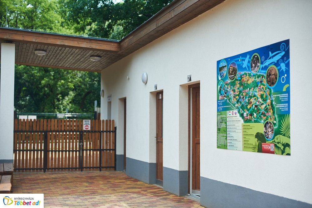 Erdei sétány átadó