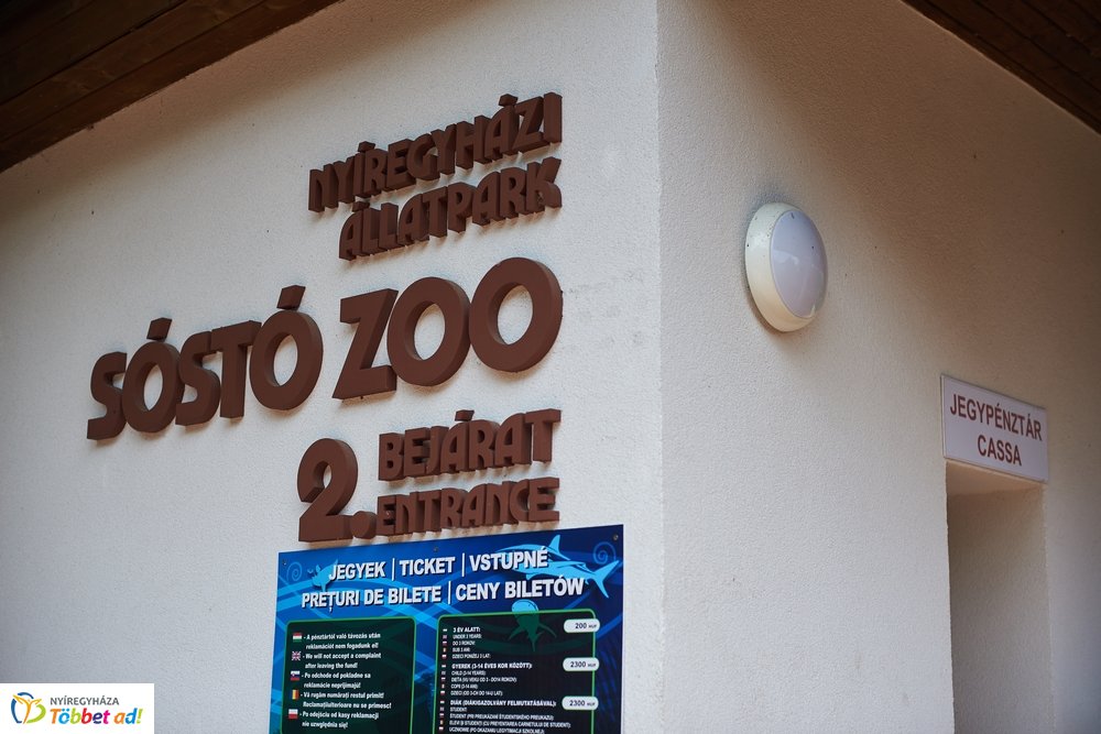 Erdei sétány átadó