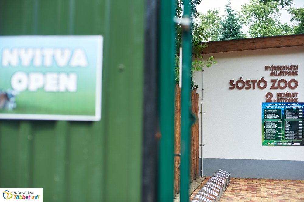 Erdei sétány átadó