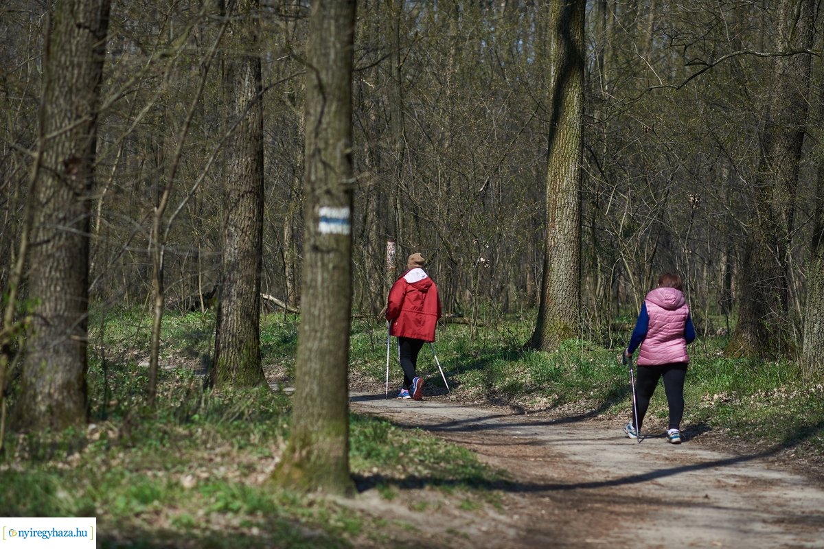 Erdei sport a tavaszban