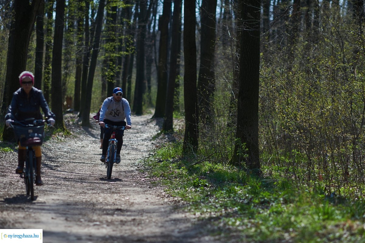 Erdei sport a tavaszban