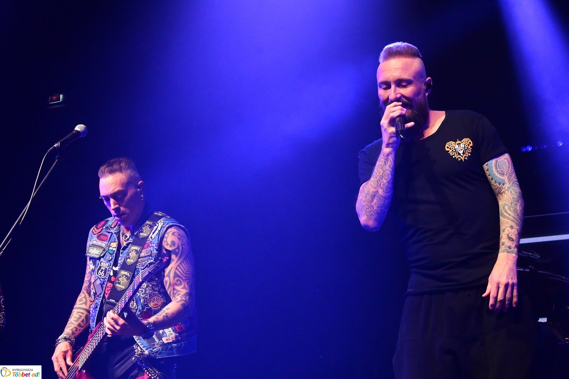 Esti  koncertek a Fitt Stadion rendezvényen