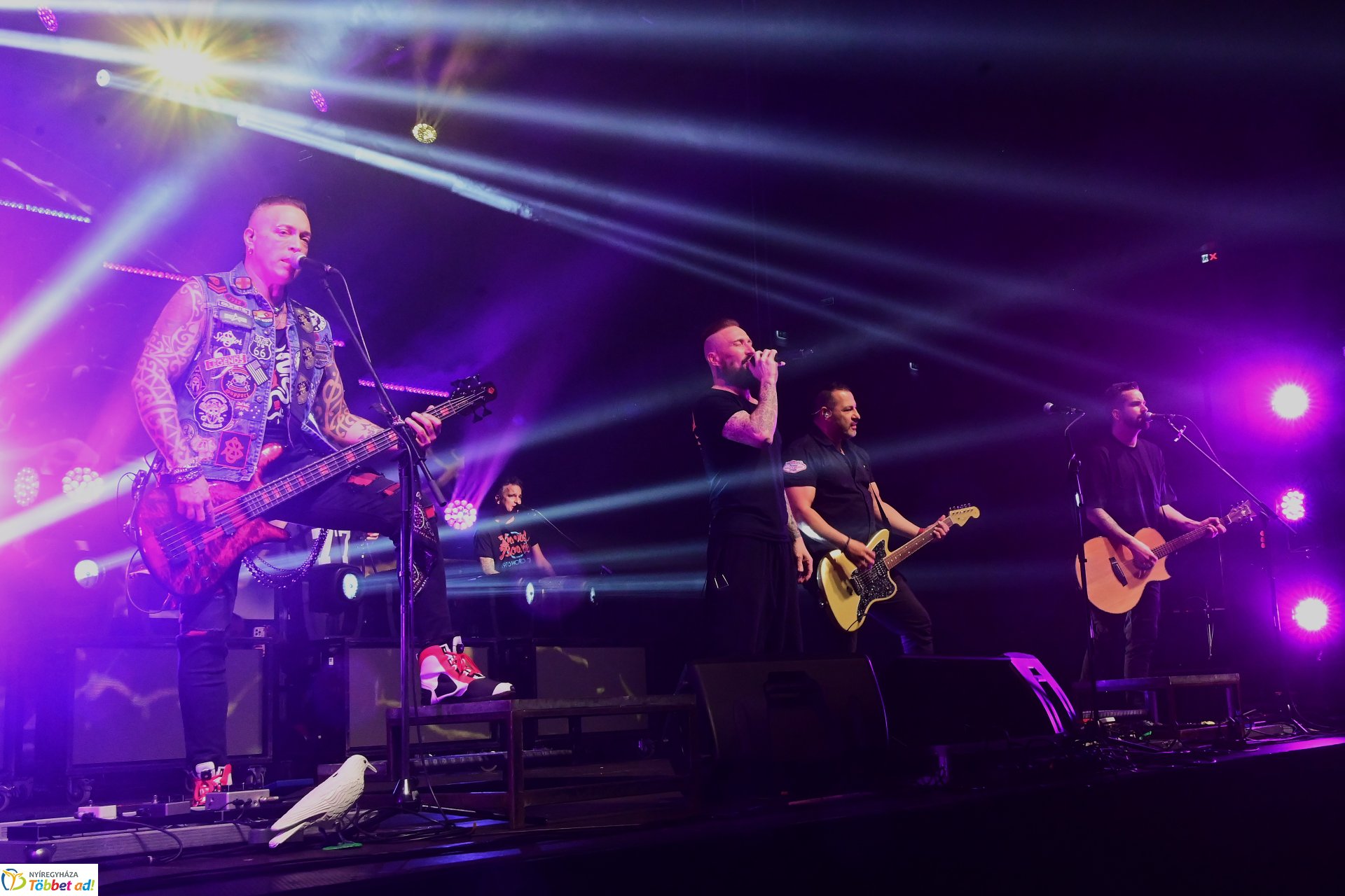 Esti  koncertek a Fitt Stadion rendezvényen