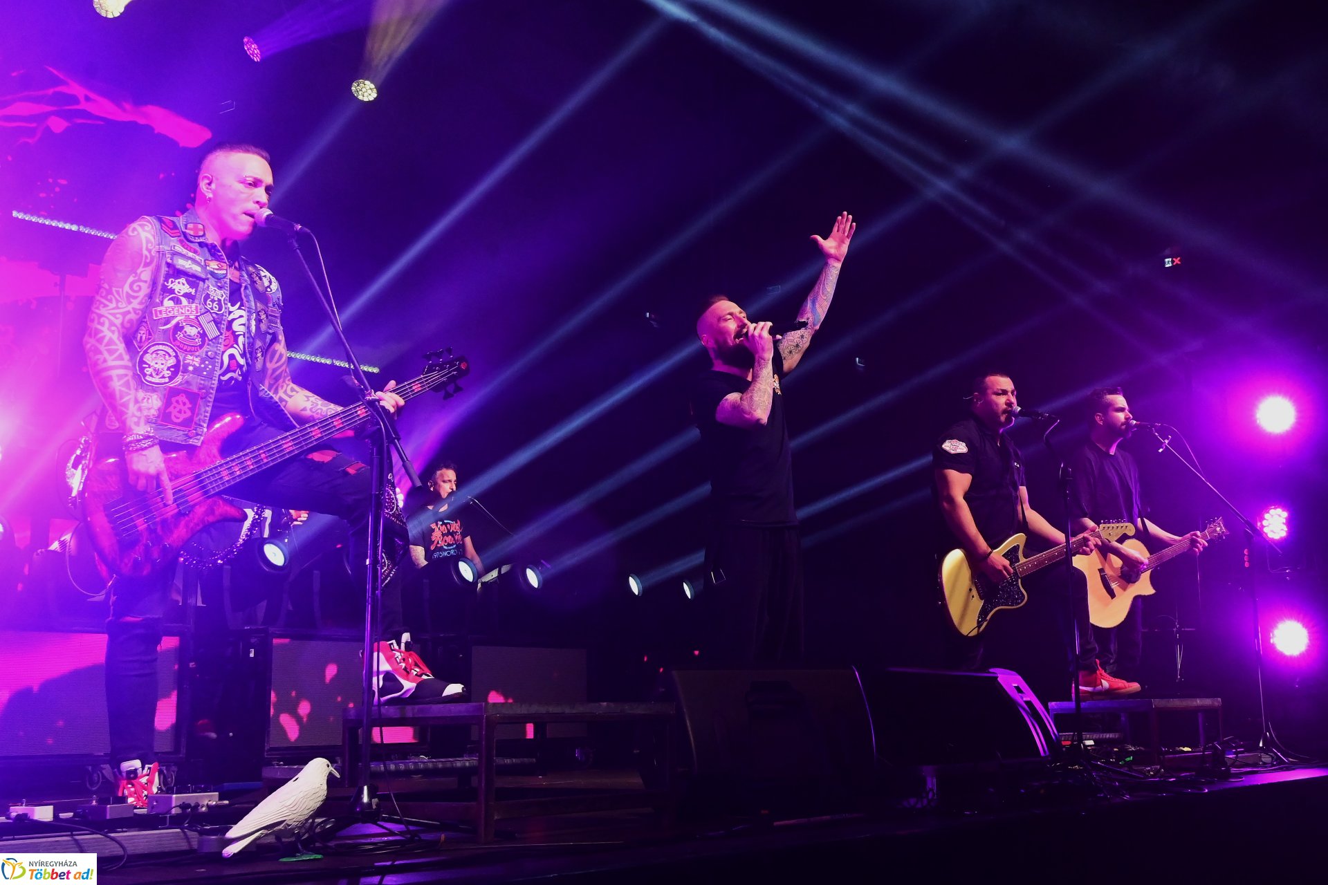 Esti  koncertek a Fitt Stadion rendezvényen