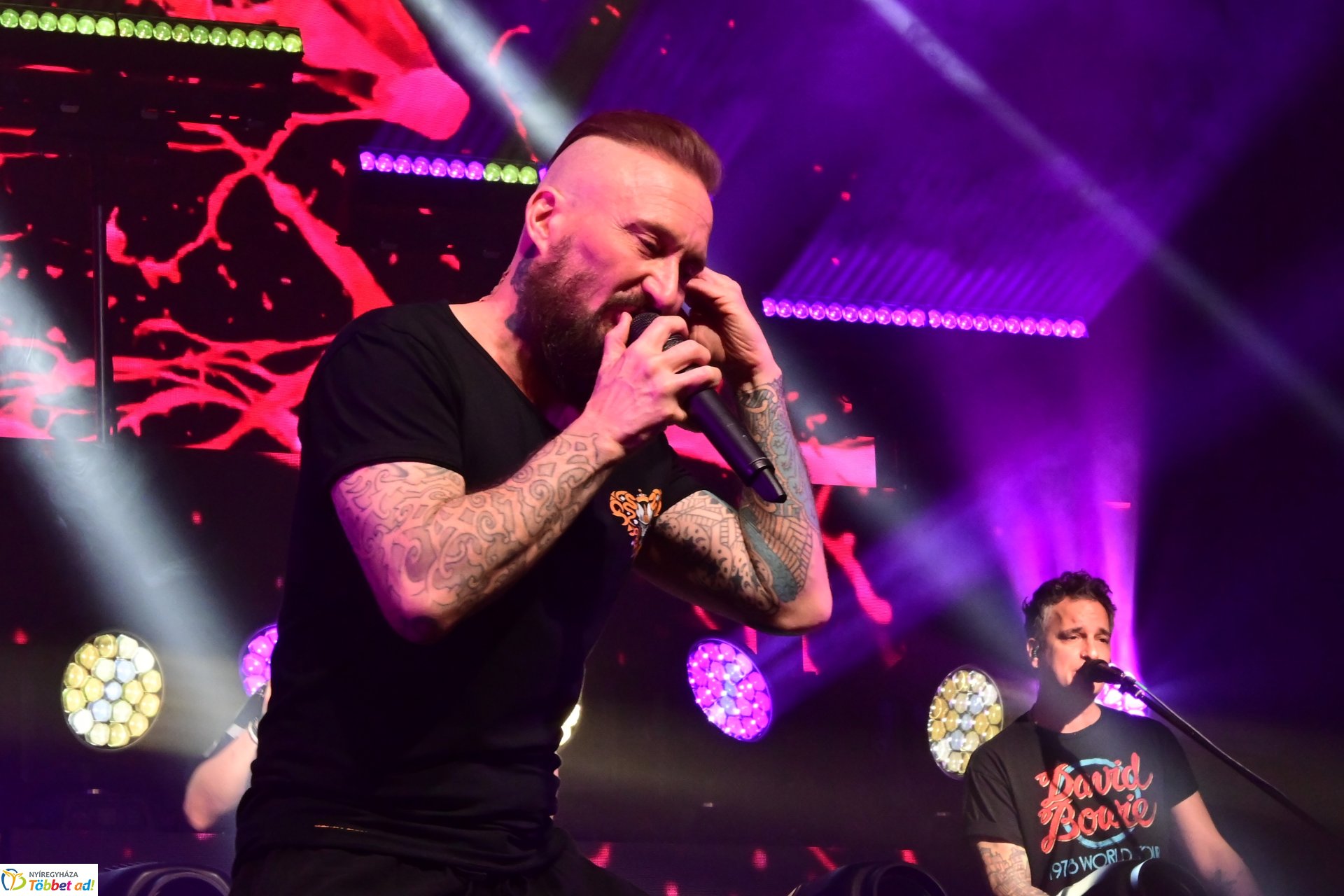 Esti  koncertek a Fitt Stadion rendezvényen