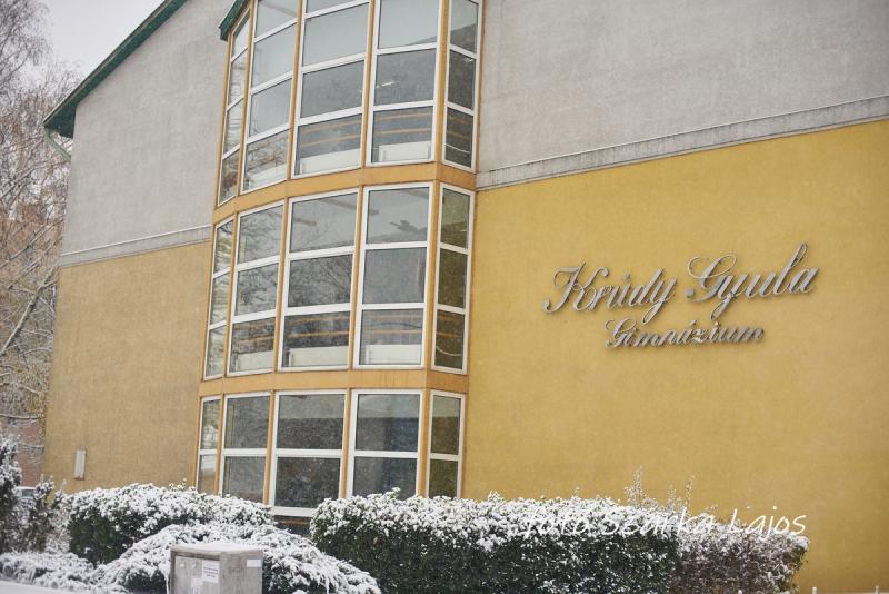 EU tematikus nap a Krúdy gimnáziumban