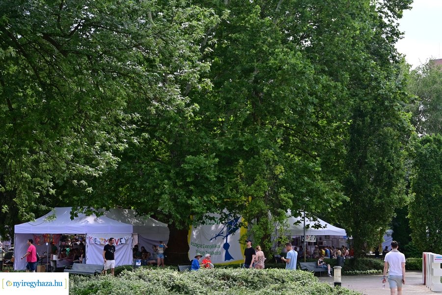 Evangélikus ifjúsági találkozó 2024