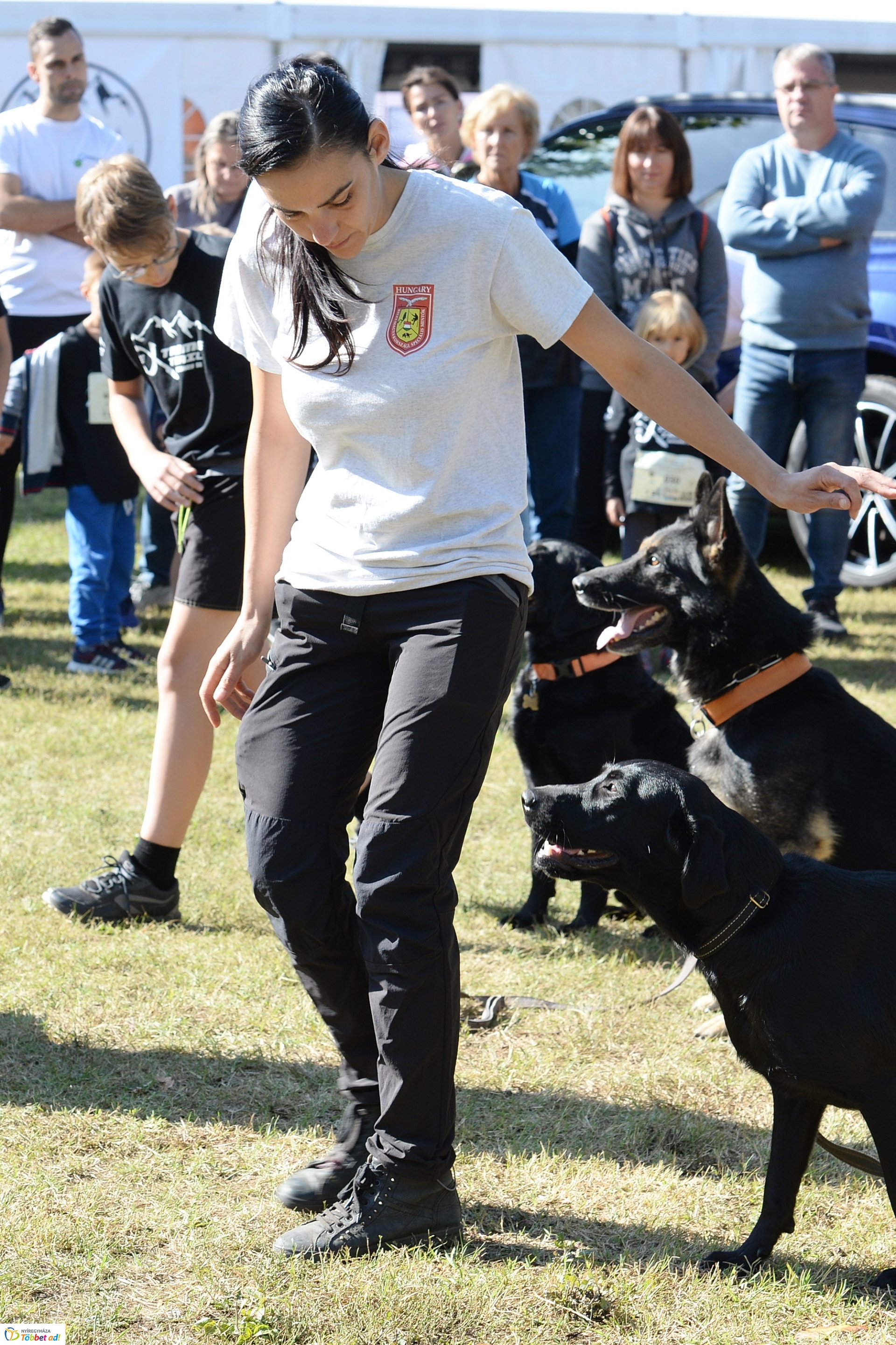 Extreme Trail akadályverseny  Sóstón - kutyés bemutató