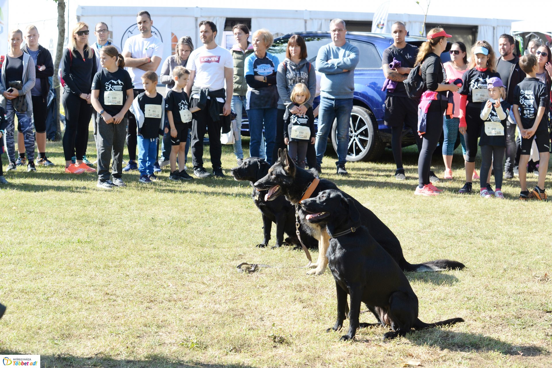 Extreme Trail akadályverseny  Sóstón - kutyés bemutató