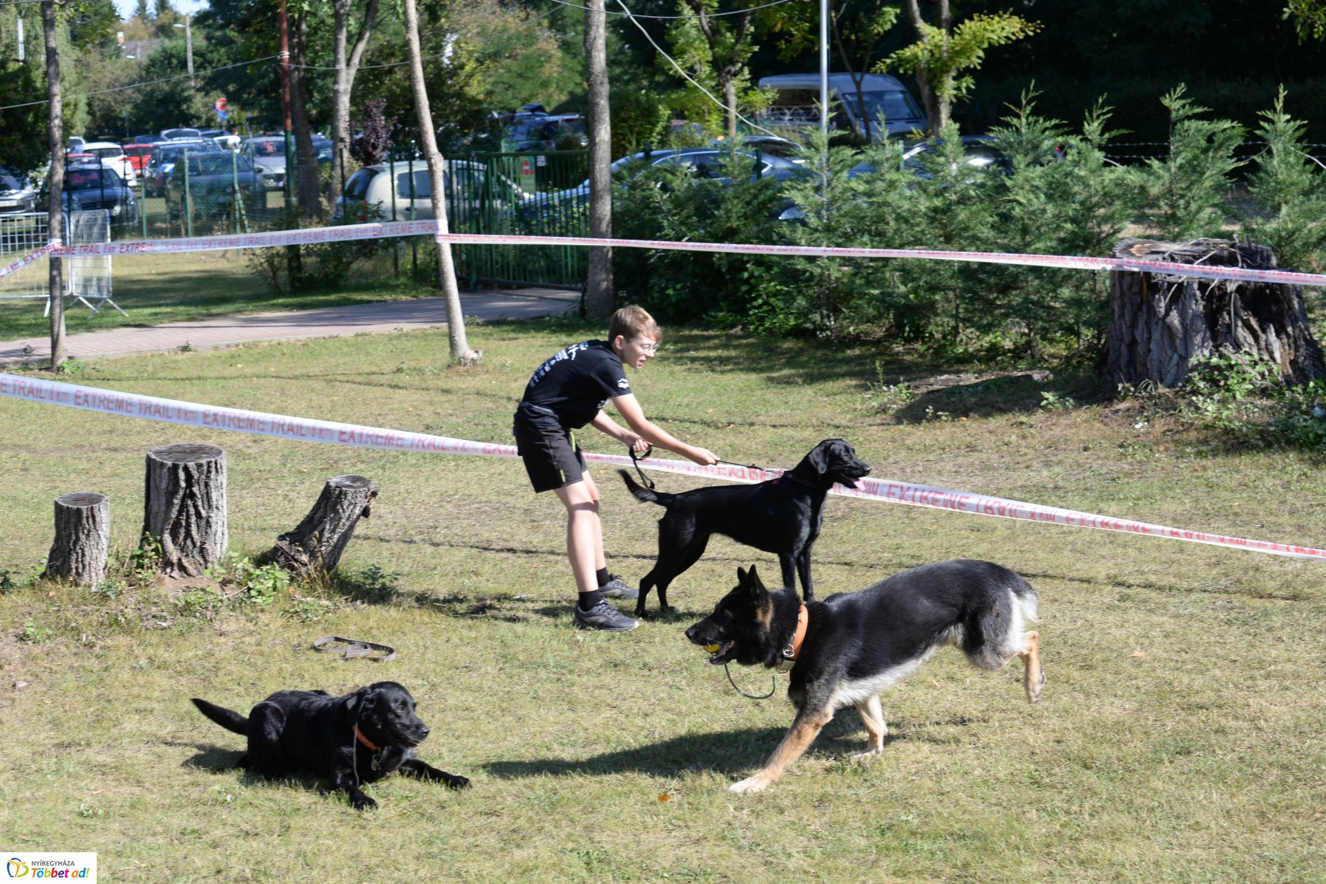 Extreme Trail akadályverseny  Sóstón - kutyés bemutató