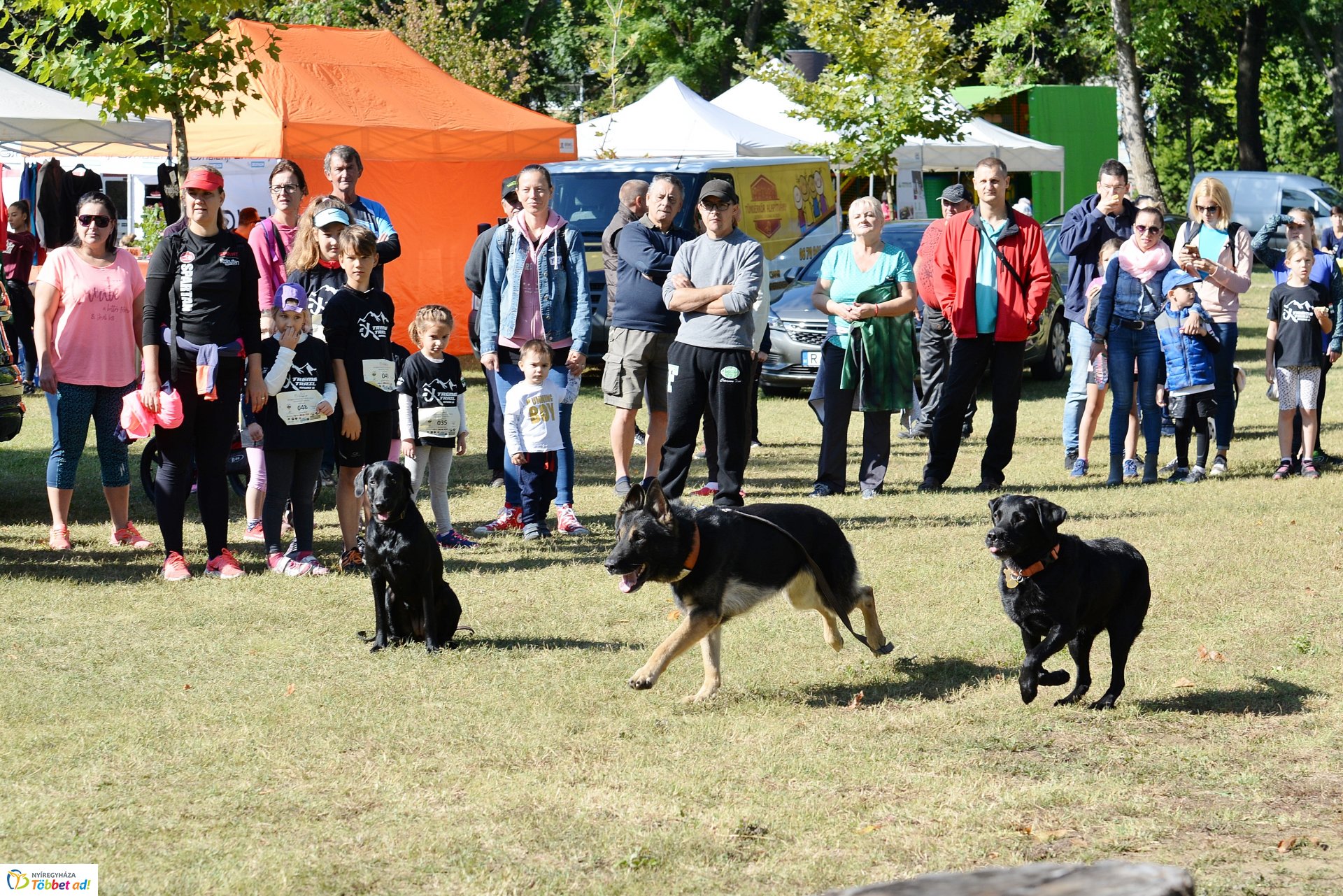 Extreme Trail akadályverseny  Sóstón - kutyés bemutató