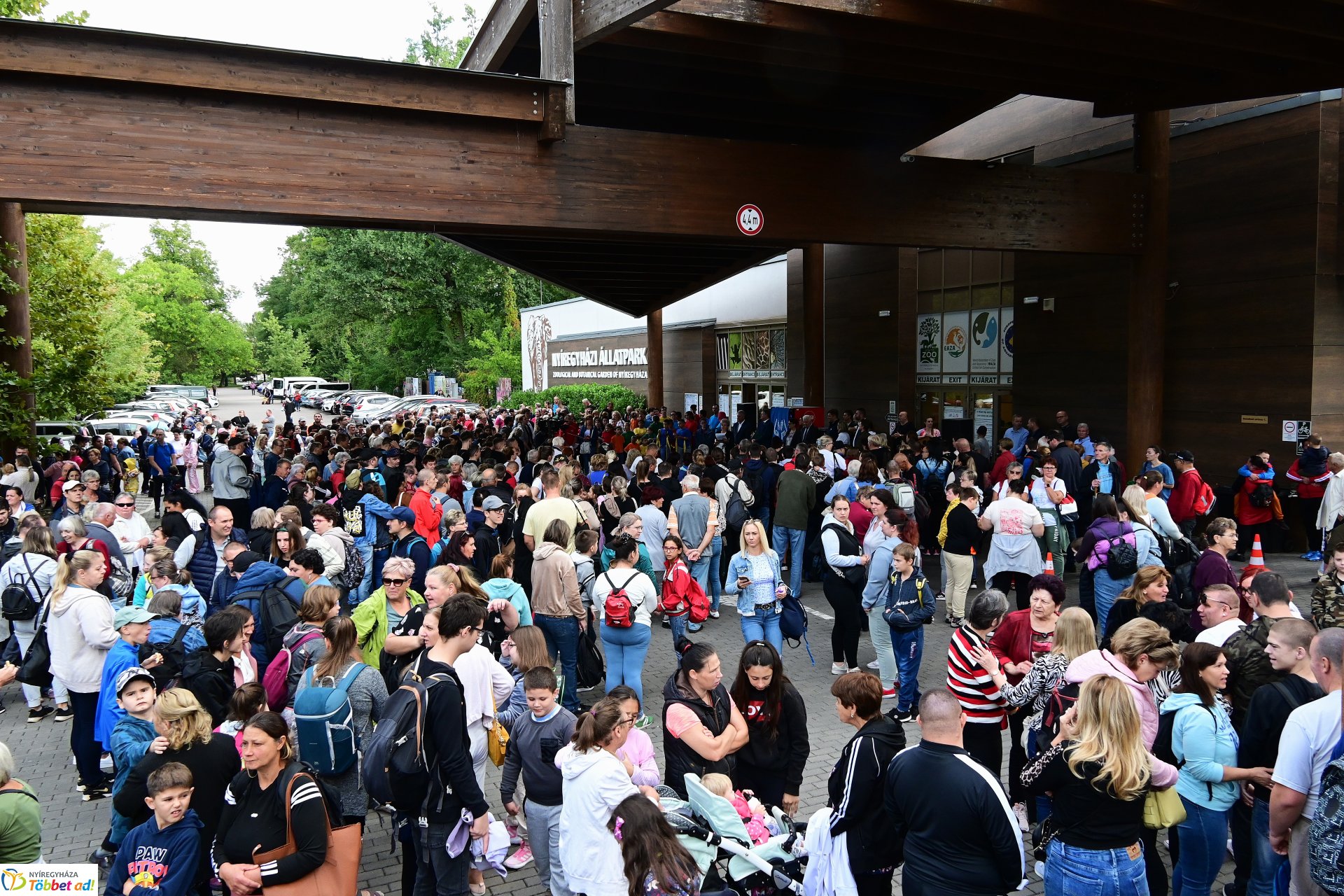 Ez a mi napunk! a Nyíregyházi Állatparkban