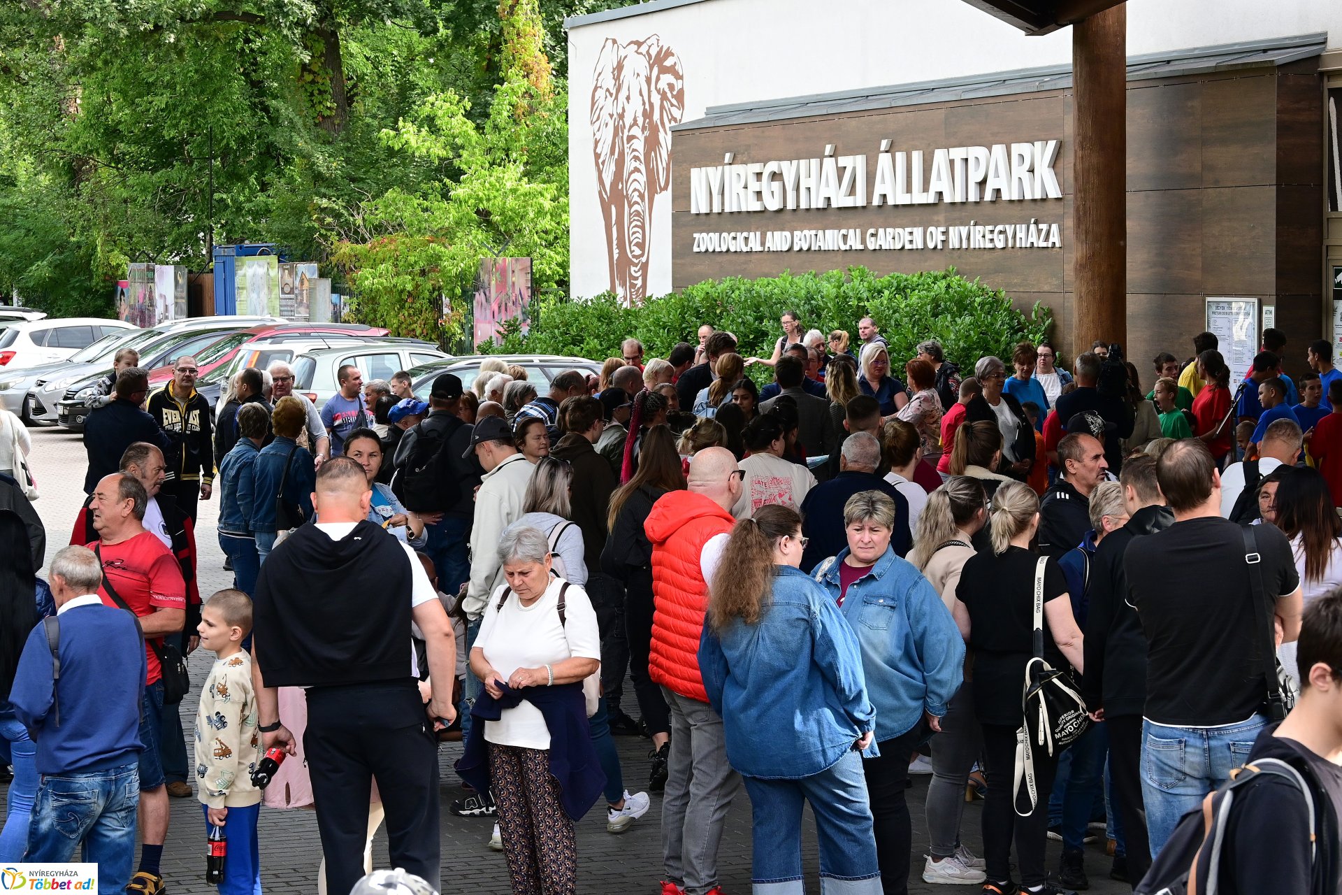 Ez a mi napunk! a Nyíregyházi Állatparkban