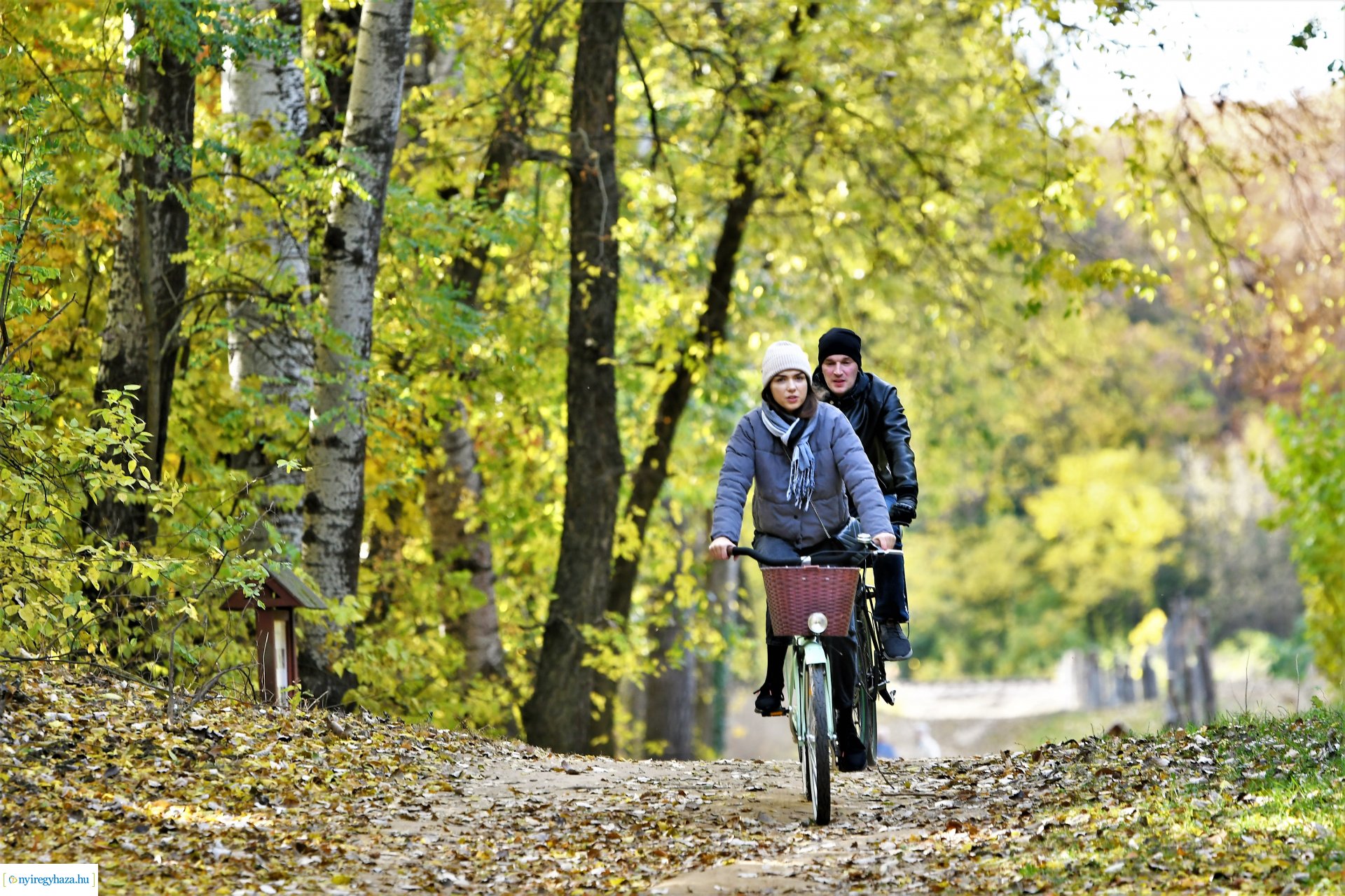 Ezer színben pompázik az őszi erdő