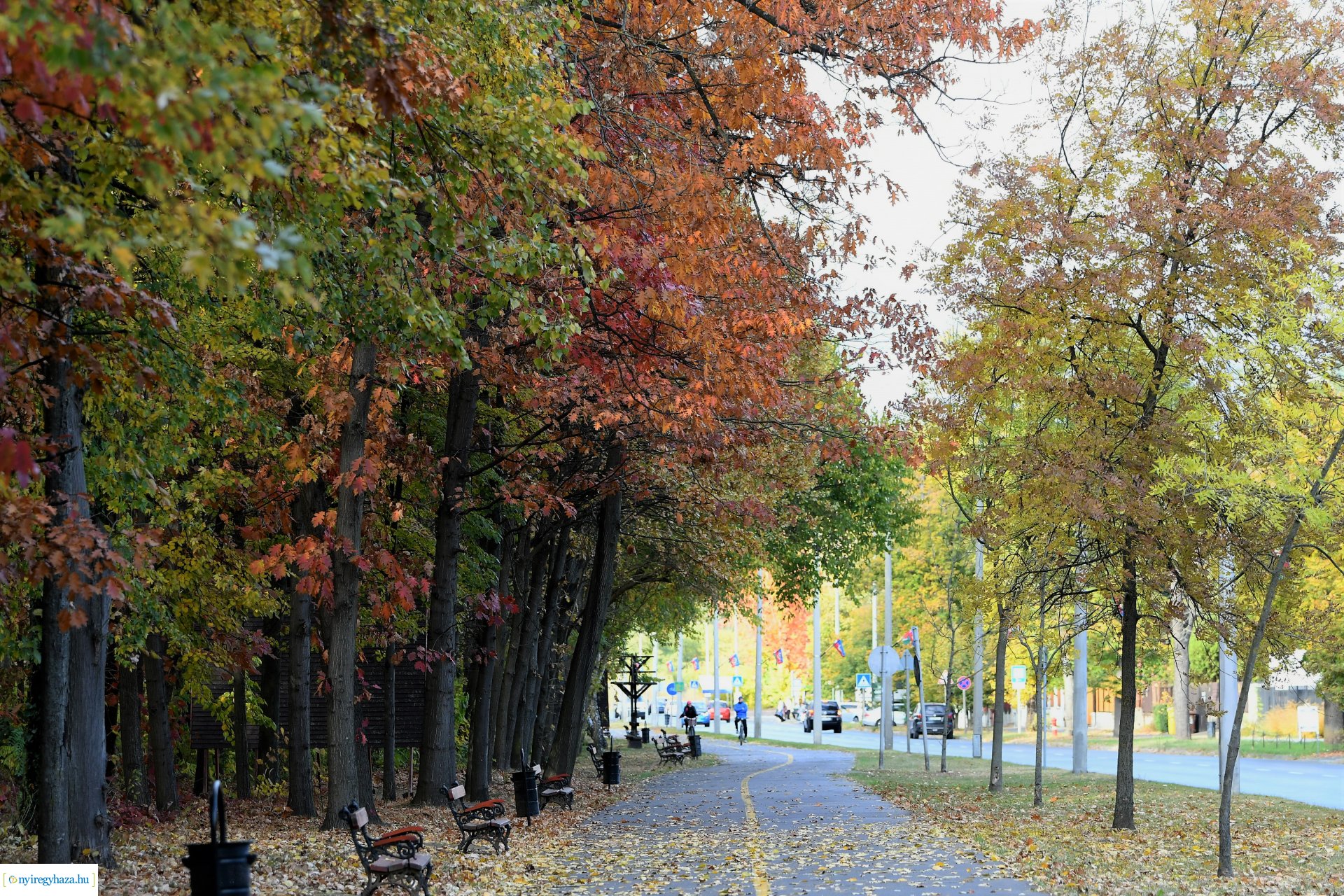 Ezer színben pompázik az őszi erdő
