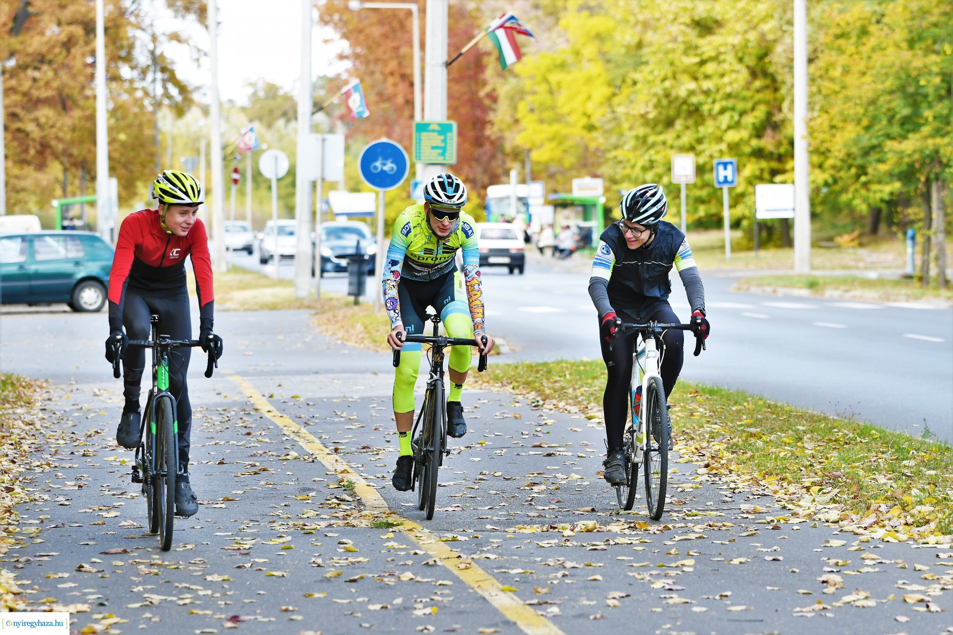 Ezer színben pompázik az őszi erdő