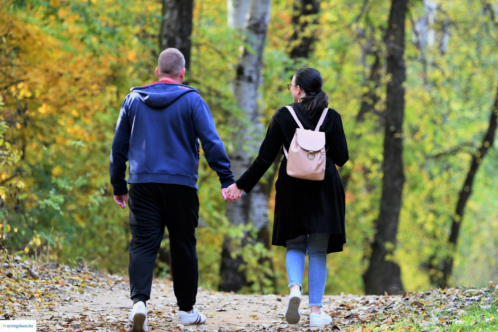 Ezer színben pompázik az őszi erdő