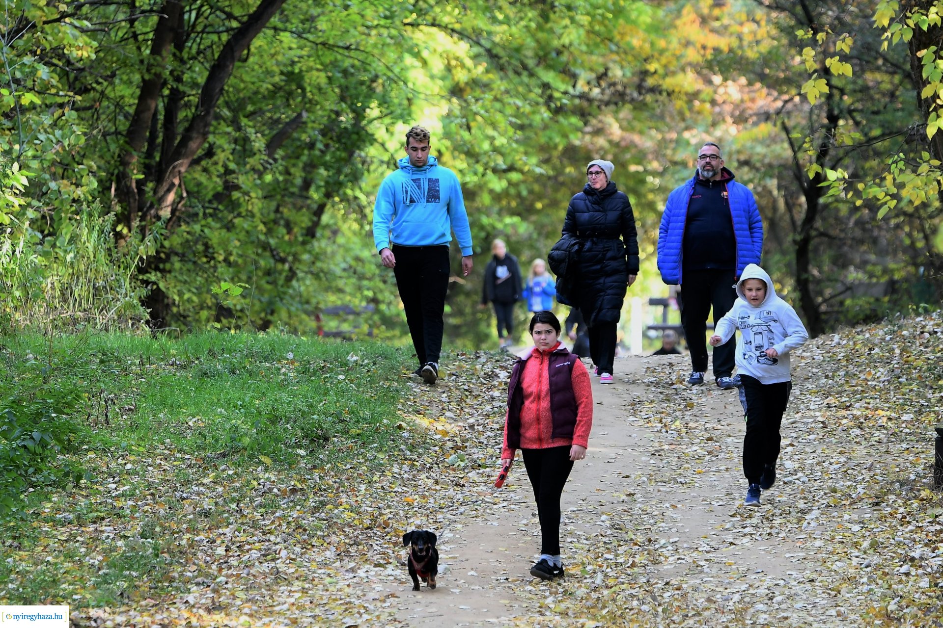 Ezer színben pompázik az őszi erdő