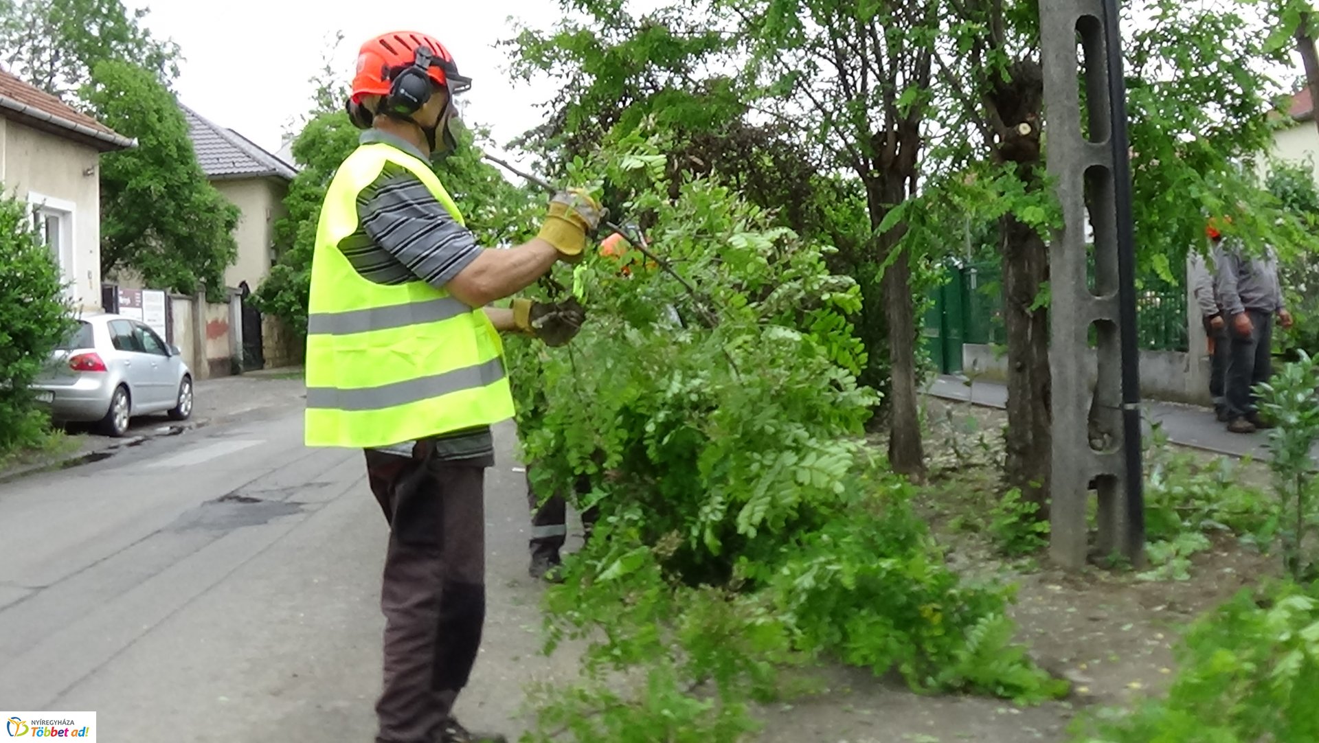 Faápolási munkálatok a Moszkva utcában