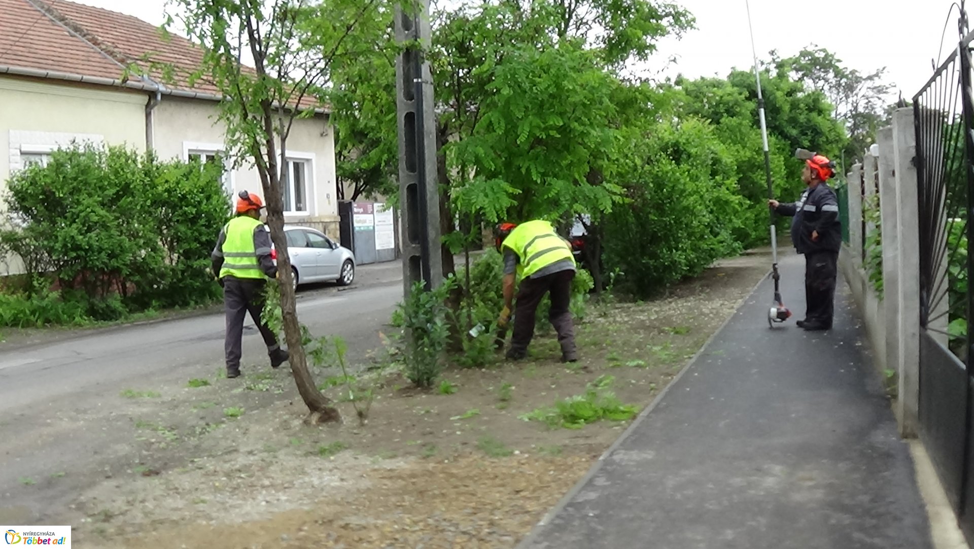 Faápolási munkálatok a Moszkva utcában