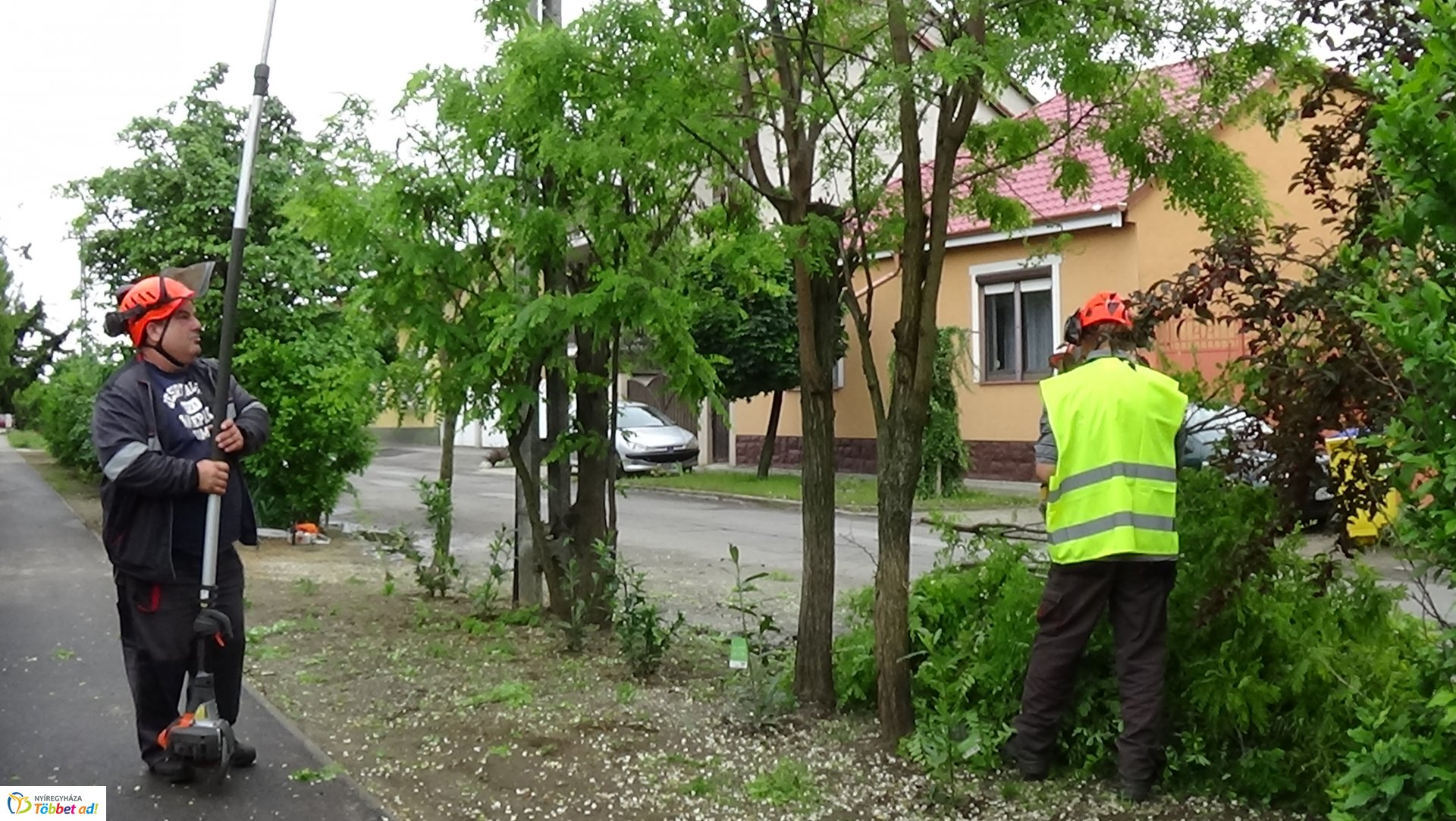 Faápolási munkálatok a Moszkva utcában