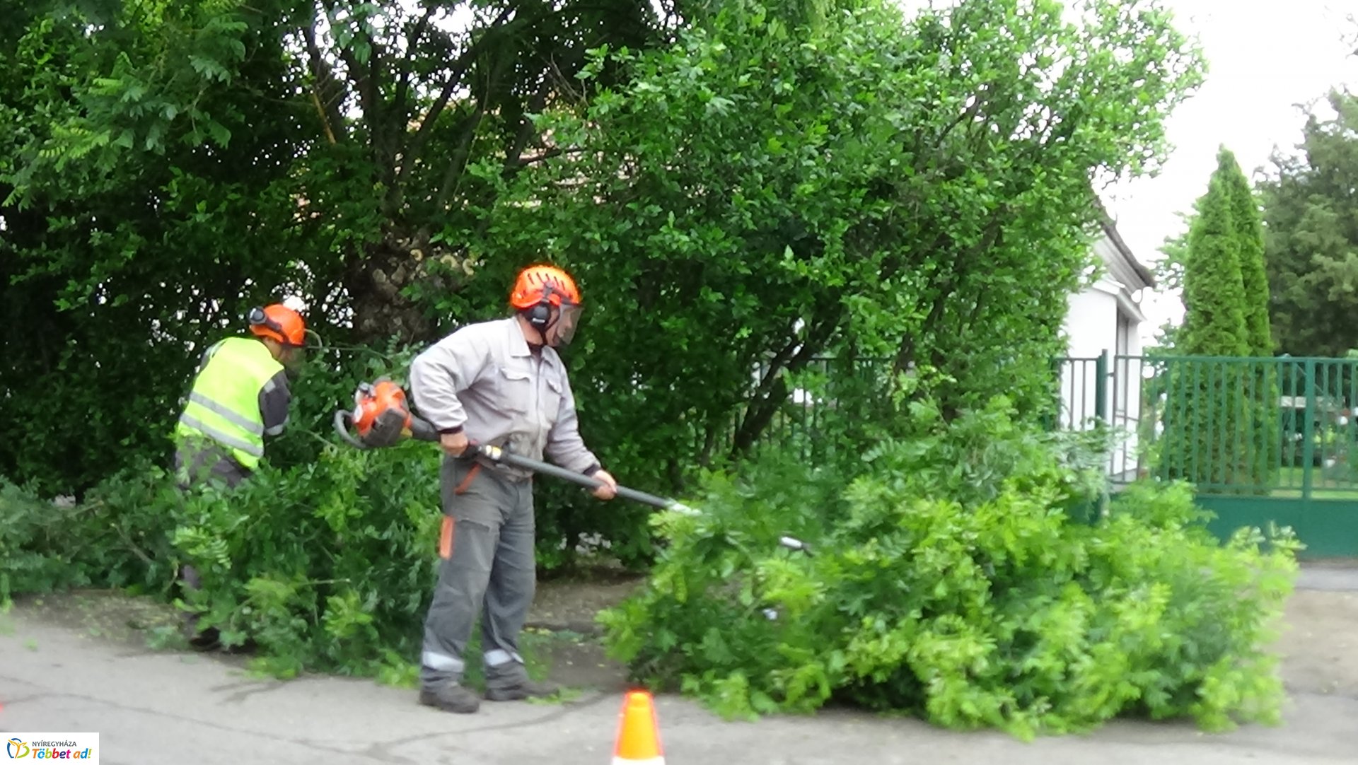 Faápolási munkálatok a Moszkva utcában
