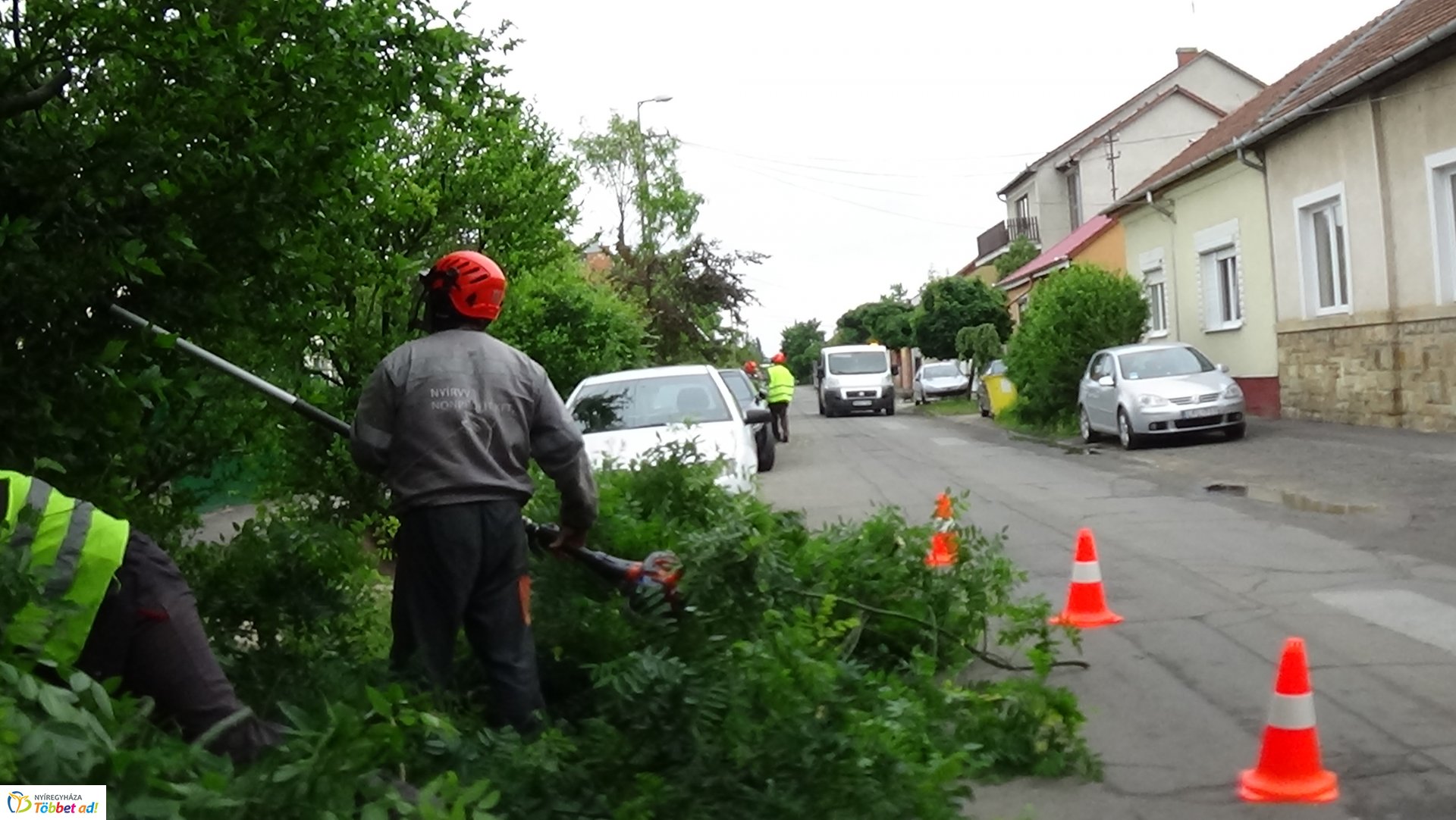 Faápolási munkálatok a Moszkva utcában