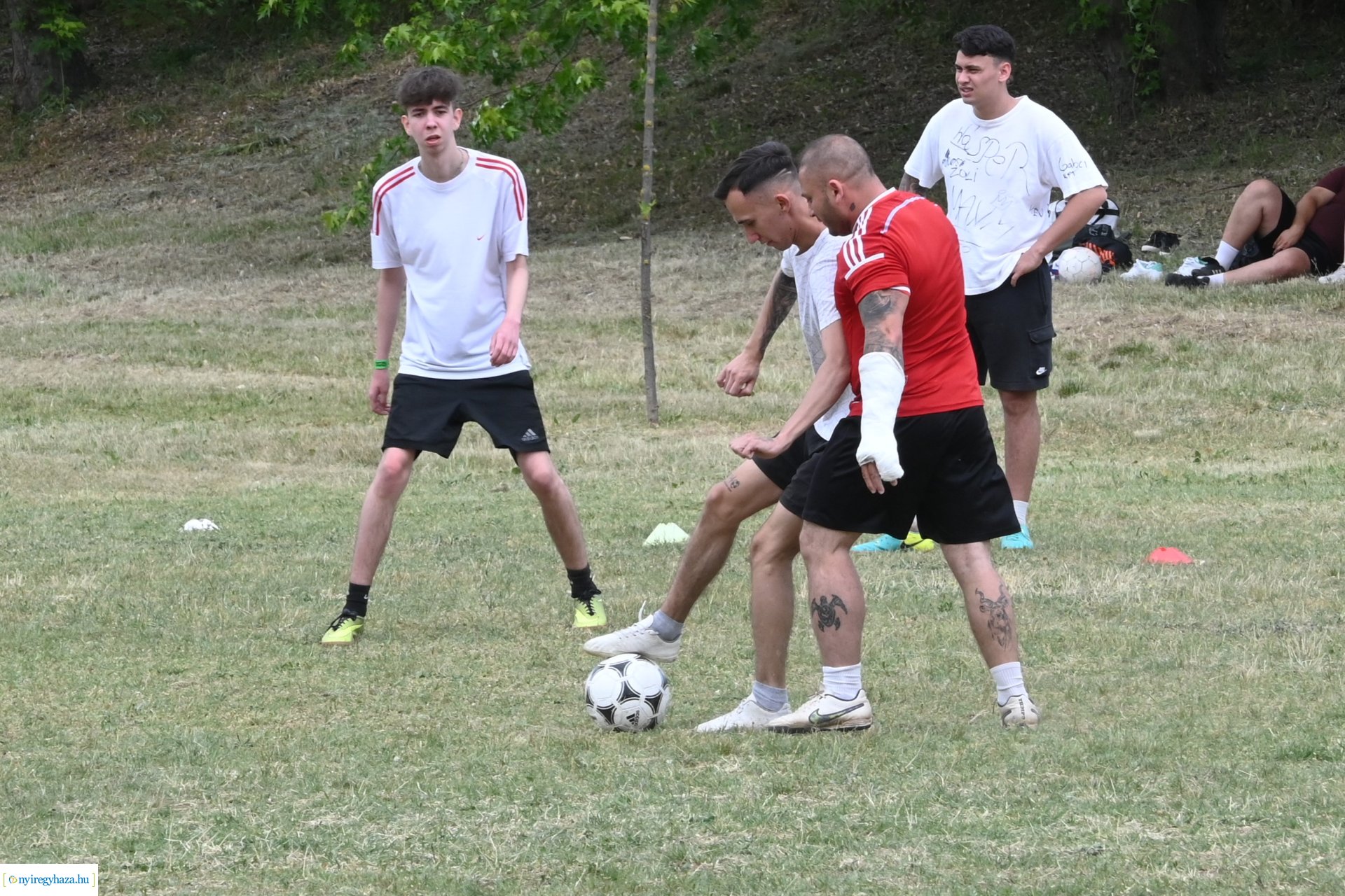 Fakanál Fesztivál 2024