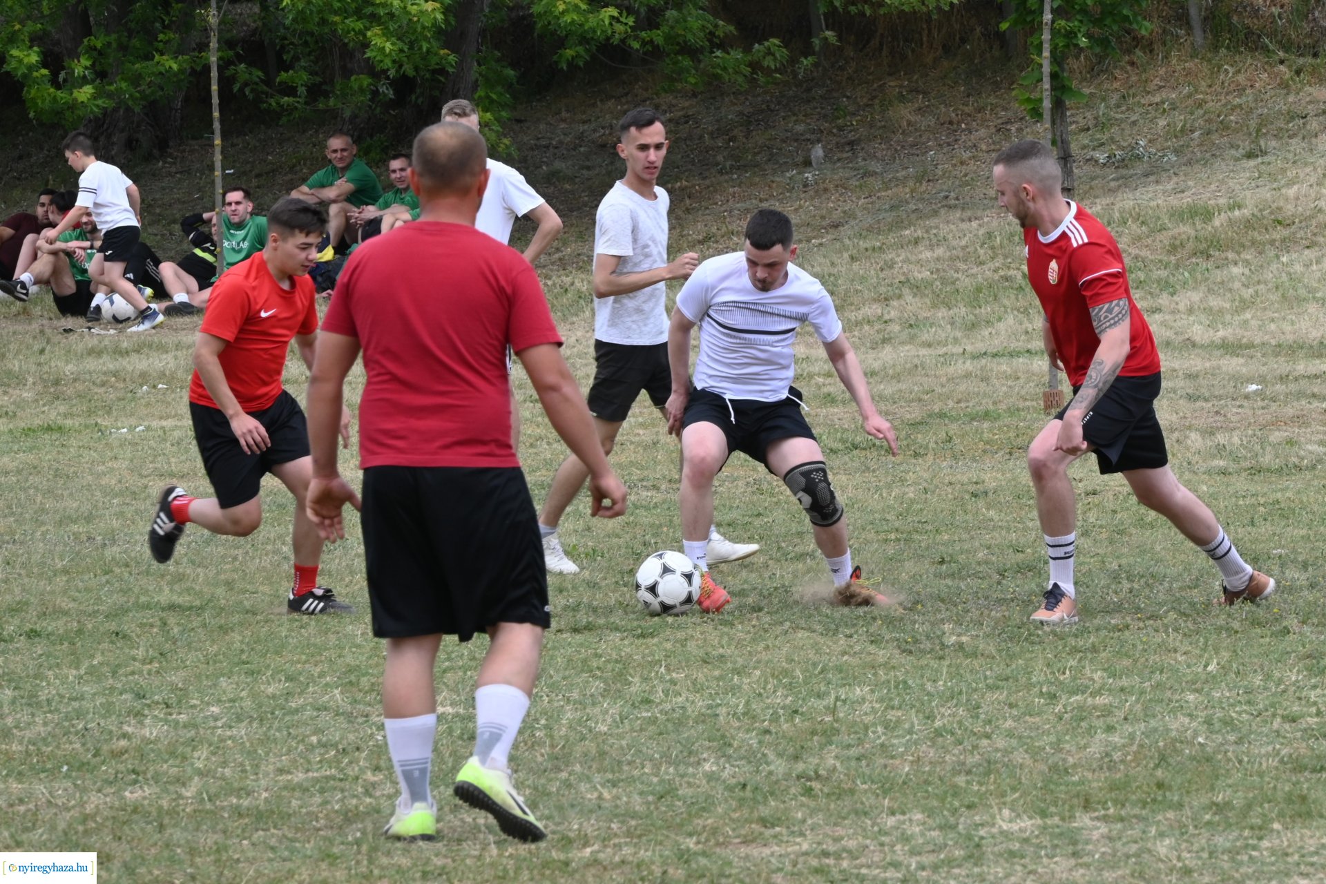 Fakanál Fesztivál 2024