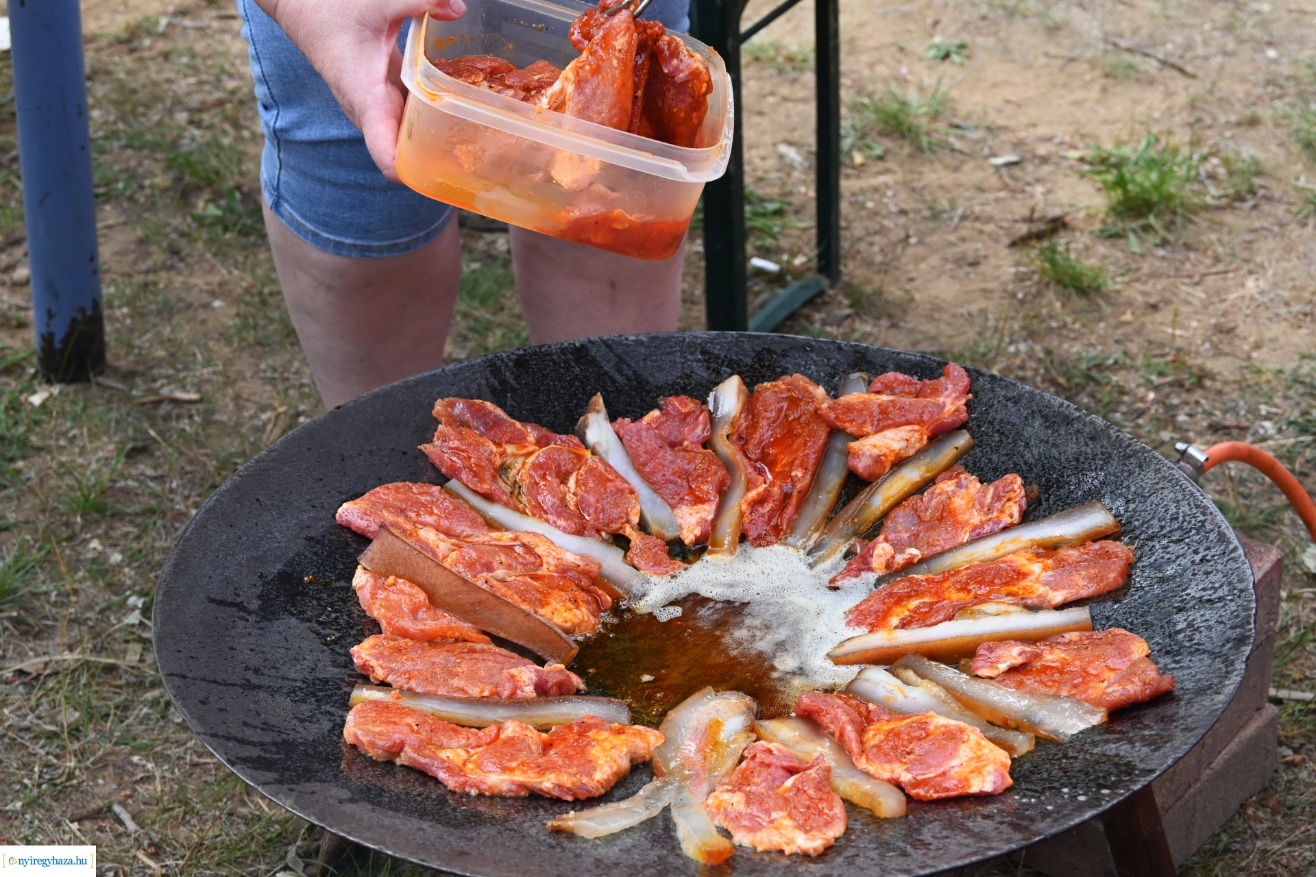 Fakanál Fesztivál 2024