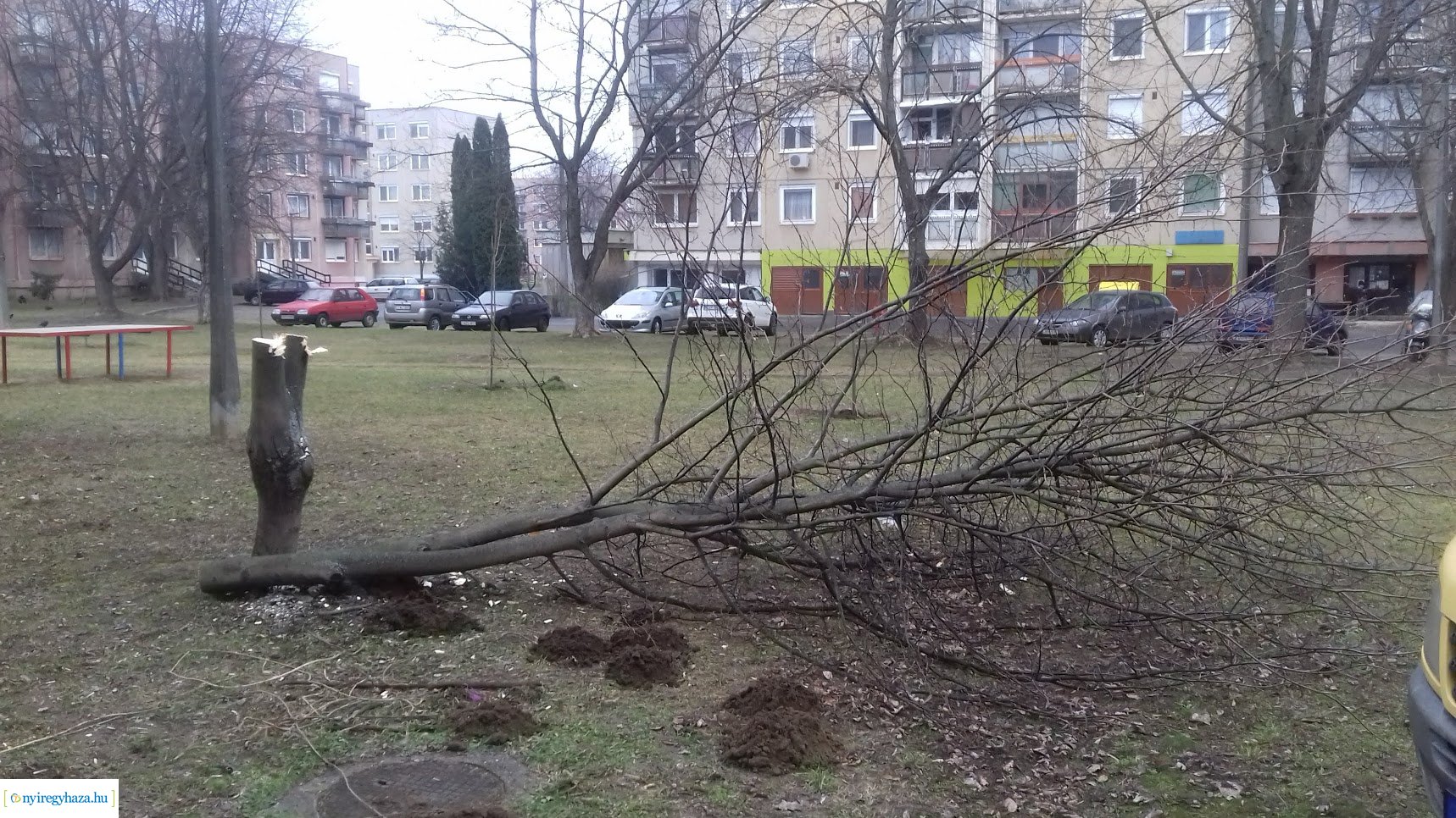 Fákat rongáltak Örökösföldön