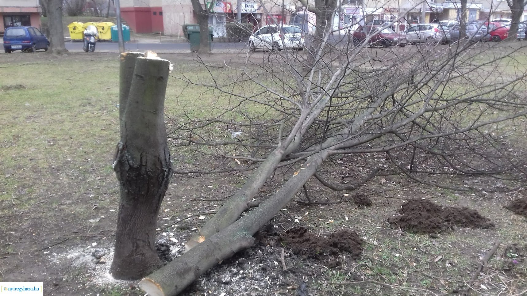 Fákat rongáltak Örökösföldön