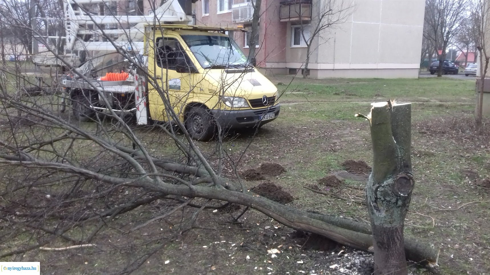 Fákat rongáltak Örökösföldön