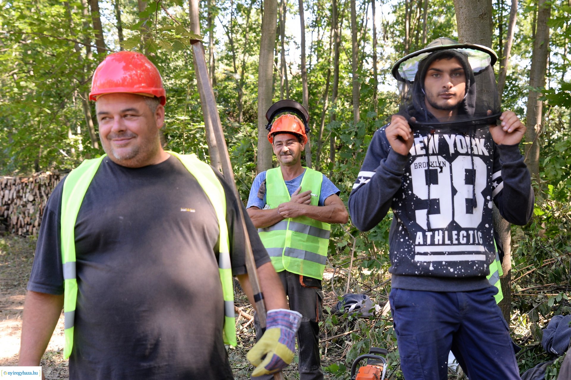 Fakitermelés a Sóstói erdőben