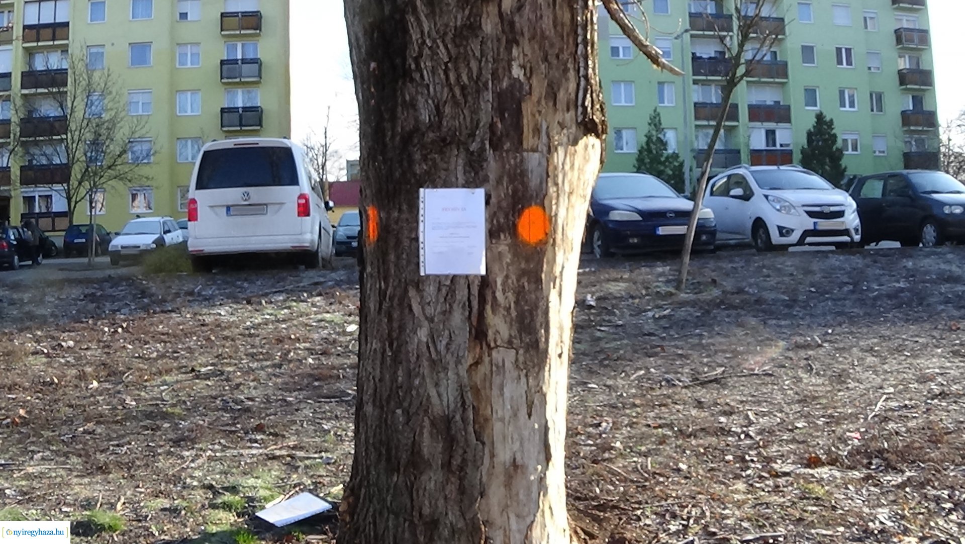 Fakivágás várható a Toldi utca 54/B. szám előtti parkoló területénél